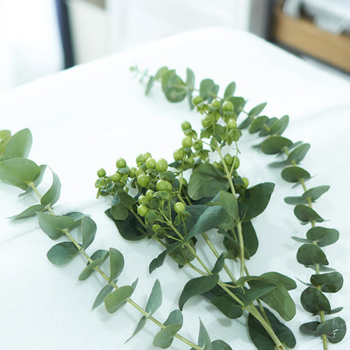 即日入会優待キャンペーン